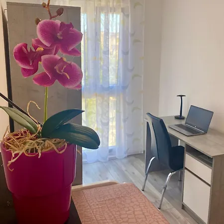 Ema 아파트 풀라